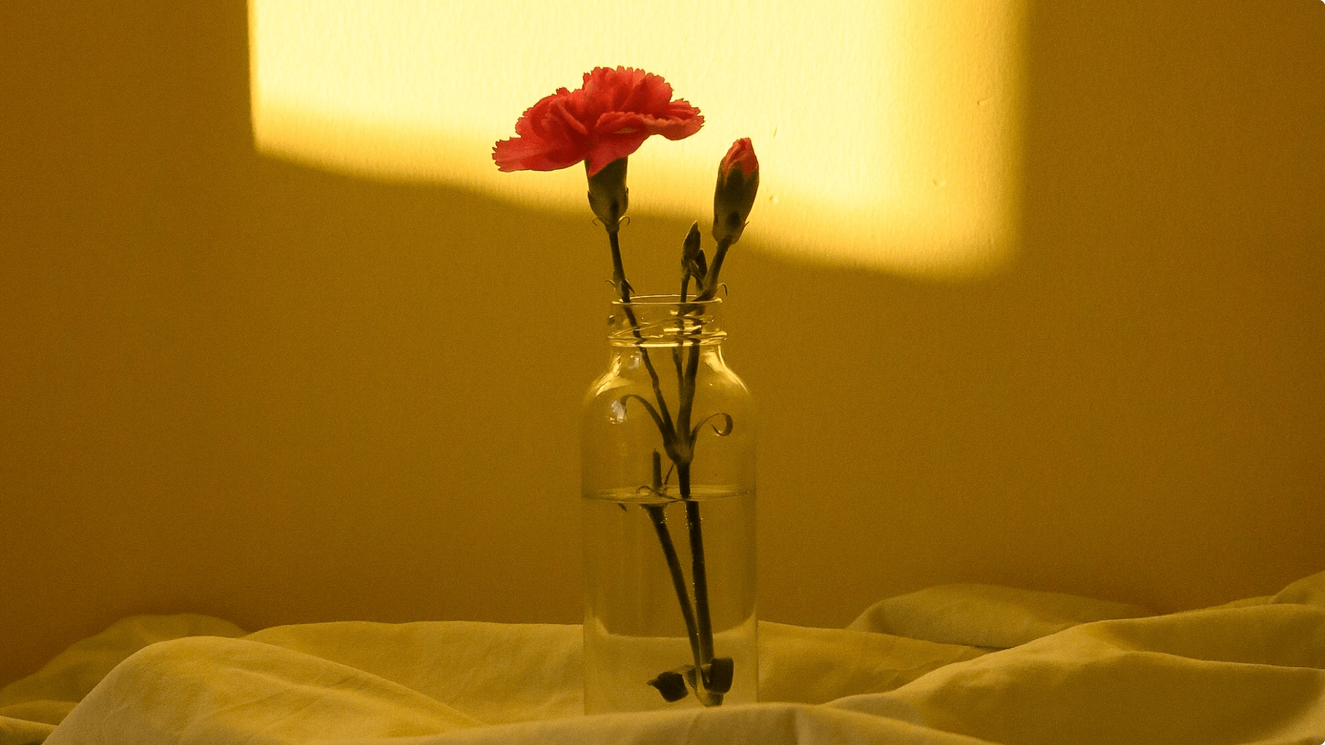 Photograph of flowers in a jar with a sunlight hitting the wall in the background