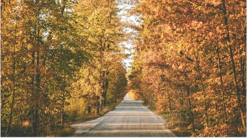 Scenic Gravel road representing the Mission of the Holy Spirit, and where it takes us.